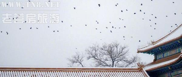 上周末，北京第一场雪之后，故宫银装素裹，美不胜收，成功登顶微博热搜第一位。网友们纷纷评论：“红色配白色，美的那么让人迷醉!”“想起了步步惊心。”于是，一时间网络上再次掀起南方人对于北方人的羡慕热潮。