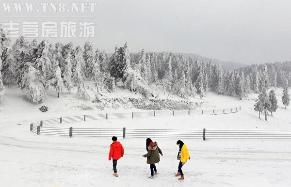 武隆· 仙女山

国家AAAAA级景区，重庆十佳旅游景点。拥有10万亩草原和33万亩森林，雪景俯瞰之下特别壮观。乘坐极具异域风景的观光小火车，穿越在冰雪童话世界，画面超级唯美浪漫。（相关阅读：重庆到武隆怎么走方便、最快?(含多种交通方式)）