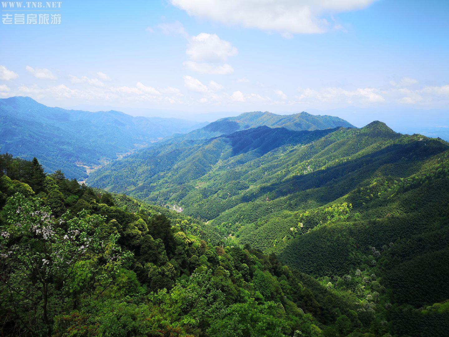 井冈山
巍巍五百里井冈山，展现了红色土地的魅力。巍巍五百里井冈山，释放了苍翠欲滴的生机与活力。十里杜鹃，十里芬芳，爱一个人也不过三餐四季吧！在这里，你可以寻找，寻找你记忆里留存的故事呀！