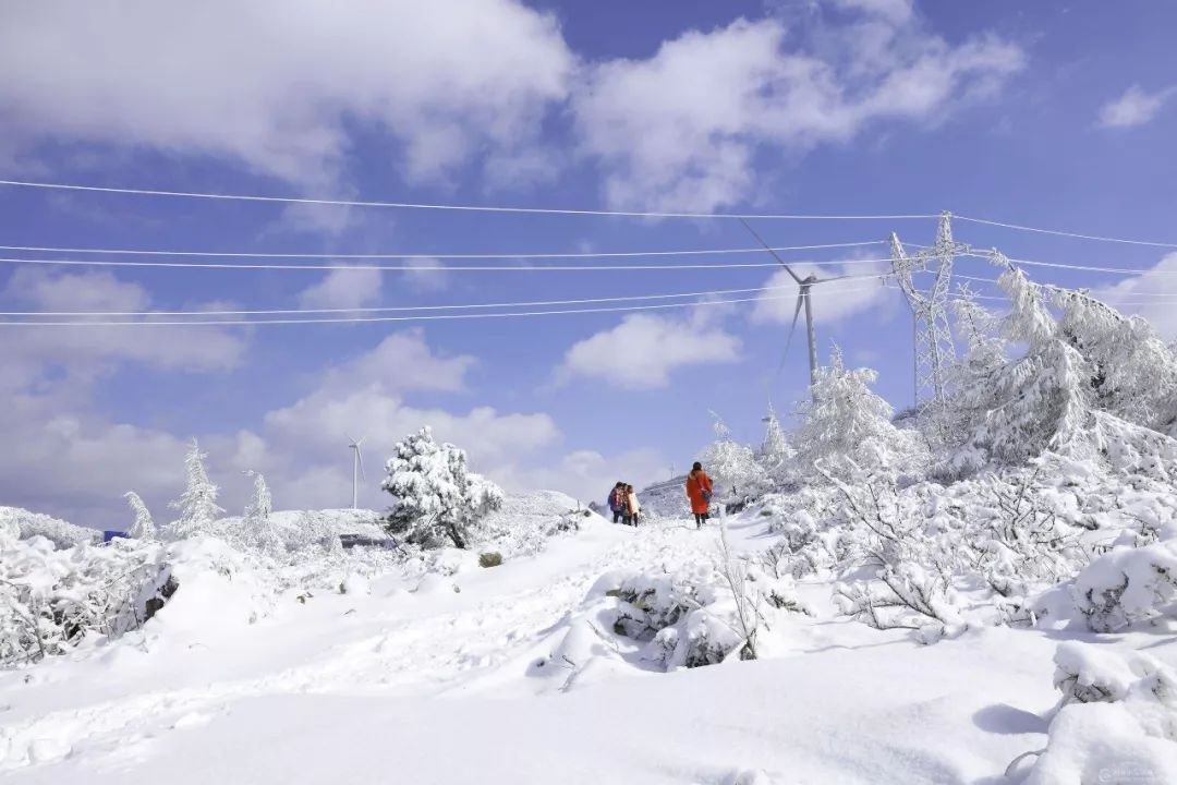 它真的来了，青海冰雪嘉年华!畅游冰雪大世界!