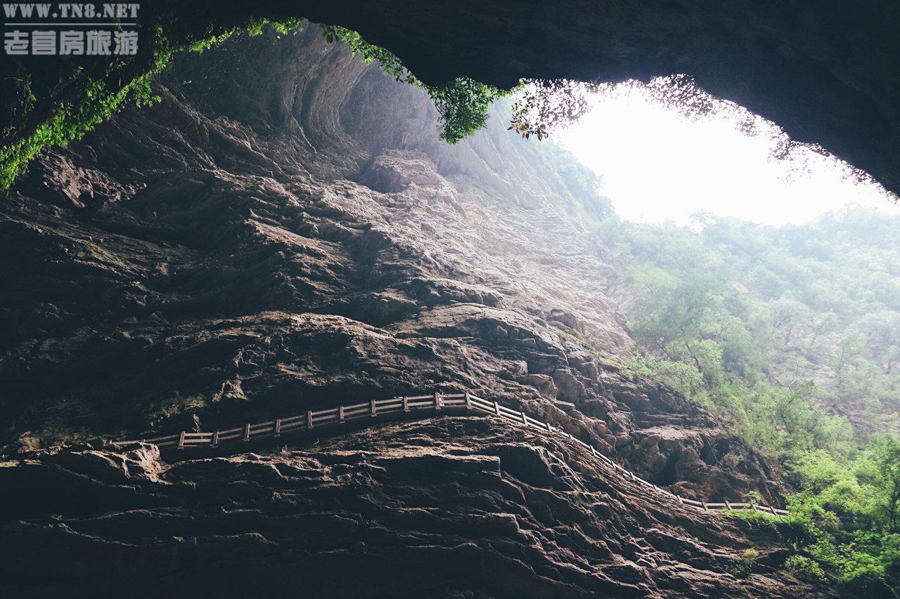 龙水峡地缝
走进大地的裂缝, 亿万年前早期的地下河水，沿着岩层裂缝不断溶蚀形成寒气逼人的地下水洞，洞中只听水声潺潺，却不见流水，幽静至极。漫步石阶，仰望一线缝隙，光线把湿漉漉的树叶照得一片翠绿。身处大自然的天然氧吧中，享受一程醉氧的旅行。
