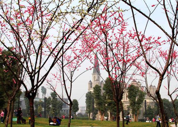 两江新区中央公园