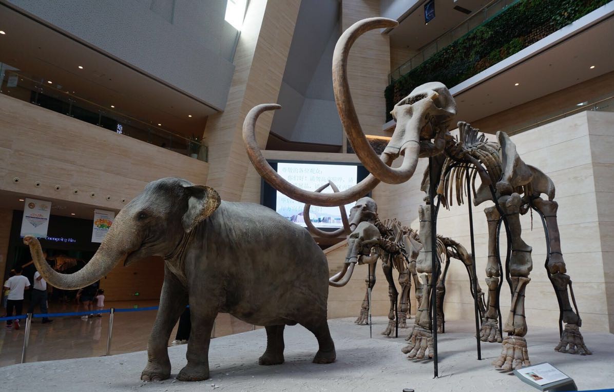 1008050000000frfa7377.jpg 1008050000000frfa7377.jpg